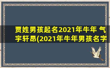 贾姓男孩起名2021年牛年 气宇轩昂(2021年牛年男孩名字大全，气宇轩昂的贾姓男孩名字推荐)